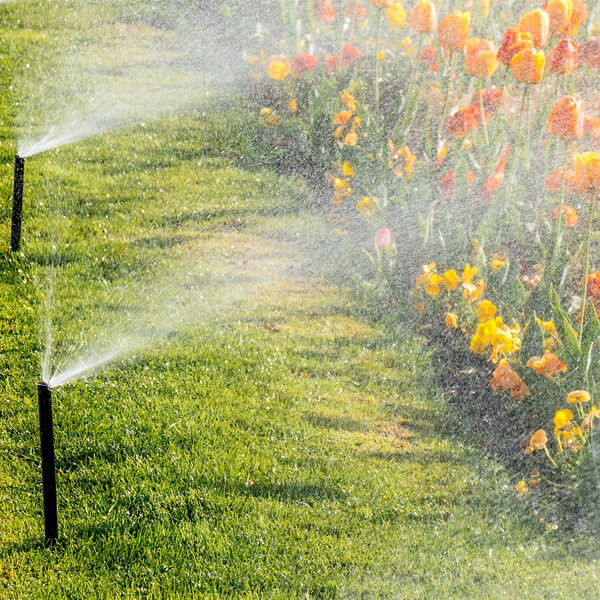 Lắp Đặt Hệ Thống Phun Sương Tại Quận 9 Chuyên Nghiệp