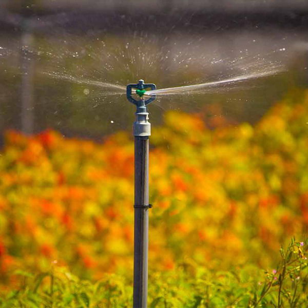 Lắp Đặt Hệ Thống Phun Sương Tại Quận 8 Uy Tín, Rẻ