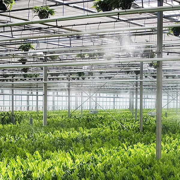 Lắp Đặt Hệ Thống Phun Sương Tại Quận 7 Giá Rẻ Nhất