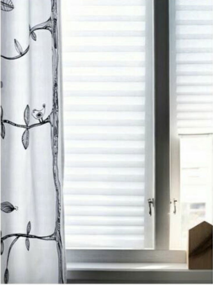 43. Schottis Tirai Putih