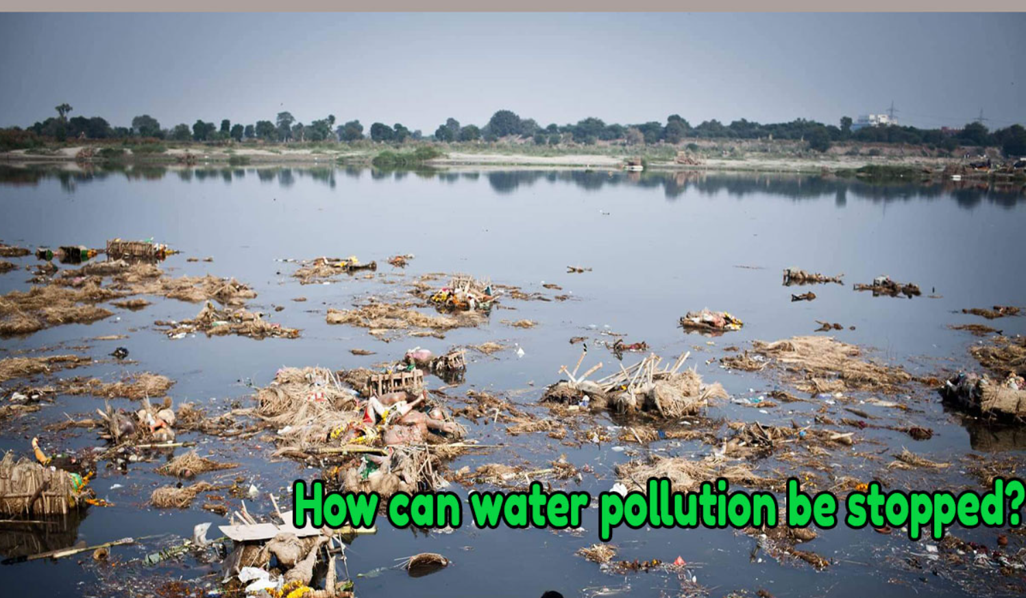 What is Water Pollution and How to stop Water Pollutions? Netsol Water