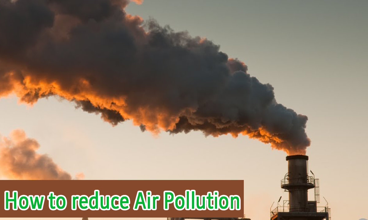 How to Reduce Air Pollution in 5 Simple Methods | Netsol Water