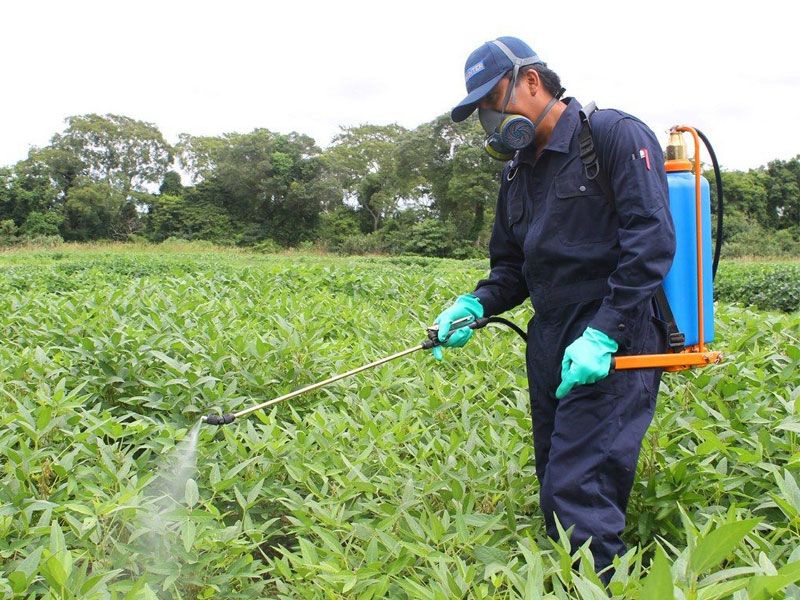 Cyphenothrin Là Gì? Lưu Ý Khi Sử Dụng Cyphenothrin