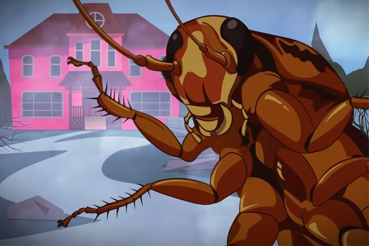 Con Gián Sợ Gì Nhất? Cách Diệt Gián An Toàn, Hiệu Quả Nhất