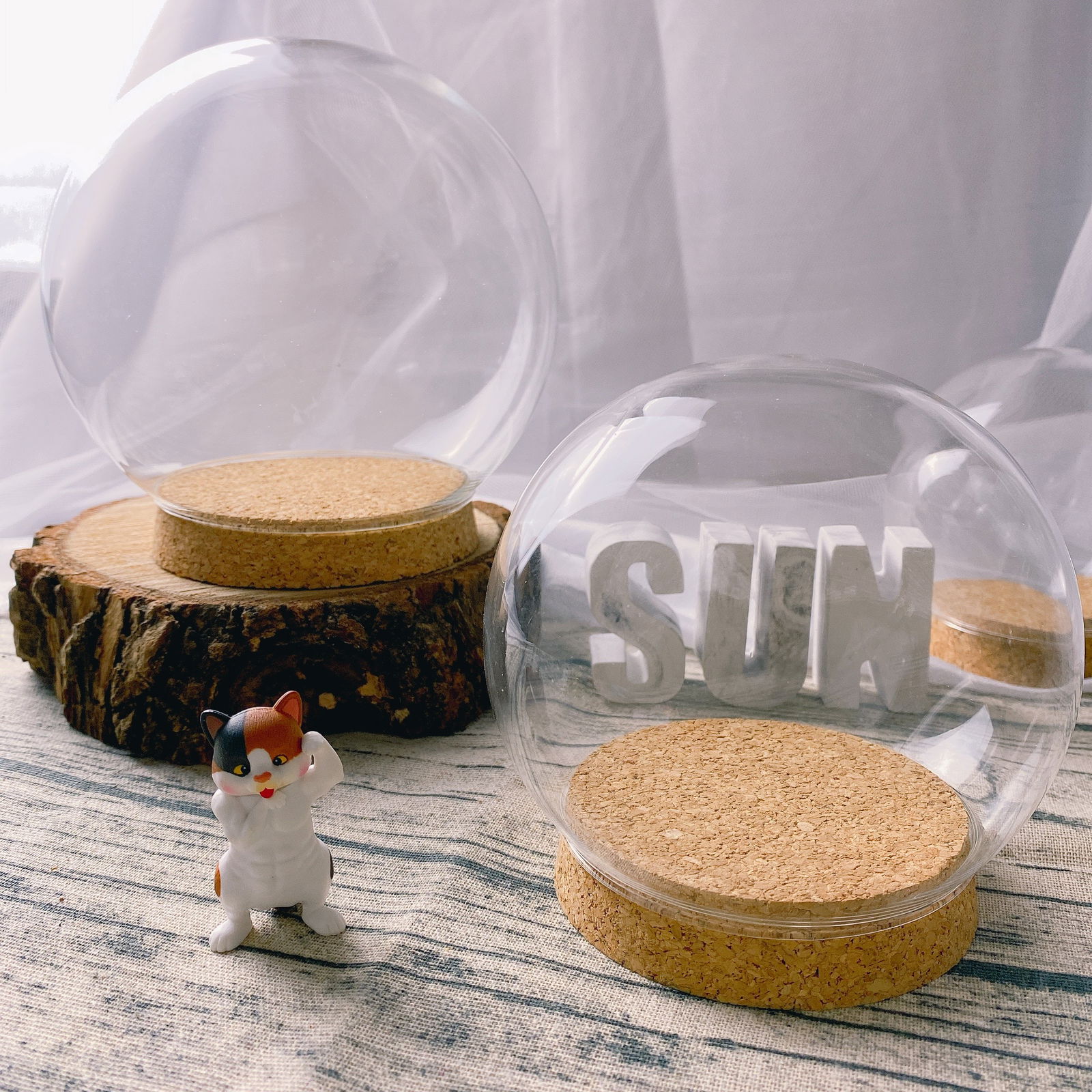 圓の軟木( 𝟭𝟮㎝．𝟭𝟱㎝ ) 