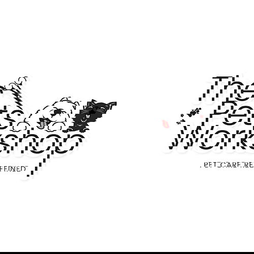 Cat Grooming Singapore