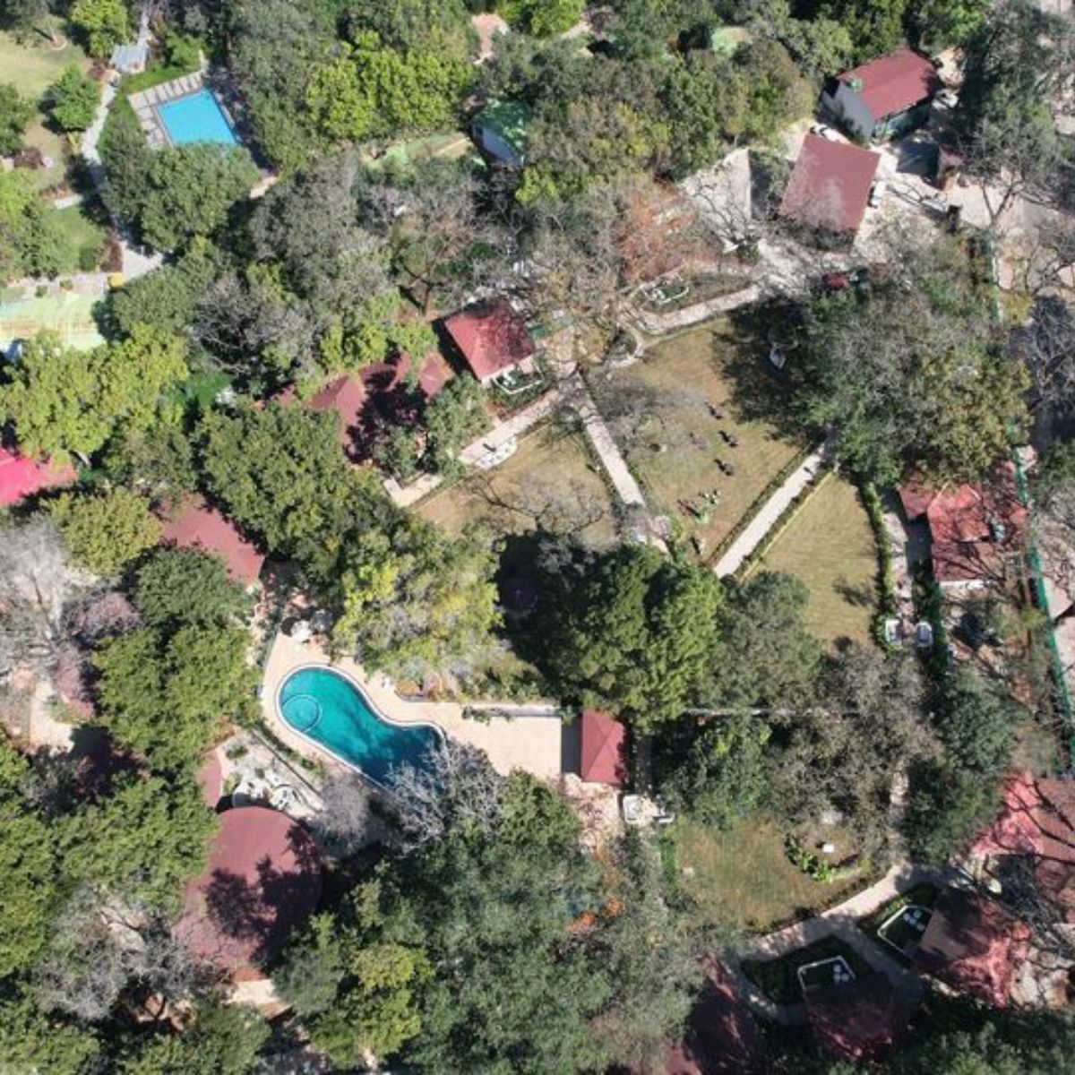 Top Reasons to Choose a Jungle Resort in MP for Your Next Holiday