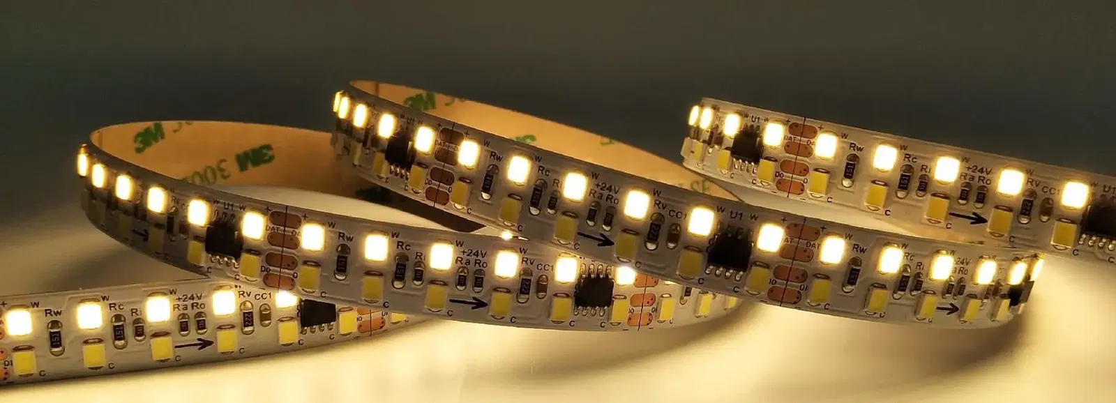 China dual white rgb rgbw dmx512 dmx led strip light manufacturer