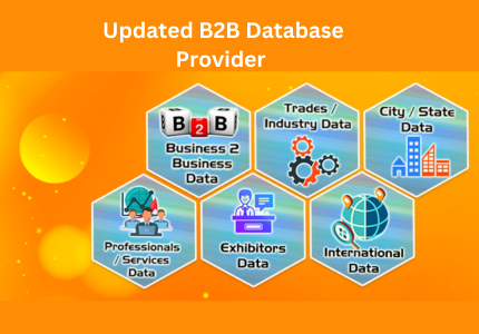Master Ways to oversee Huge B2B Data sets
