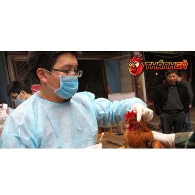 Nguyễn Ngọc Phương - Chuyên Gia Kiến Thức Tại Thanhga