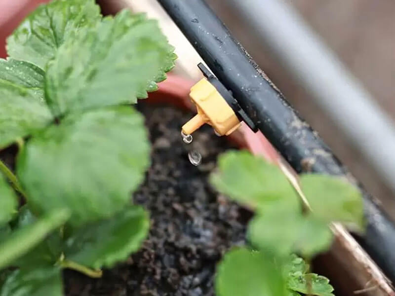 Cách Làm Hệ Thống Tưới Nhỏ Giọt
