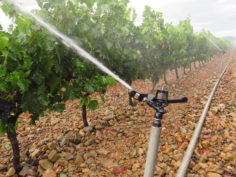 Cách tưới cây tiết kiệm nước