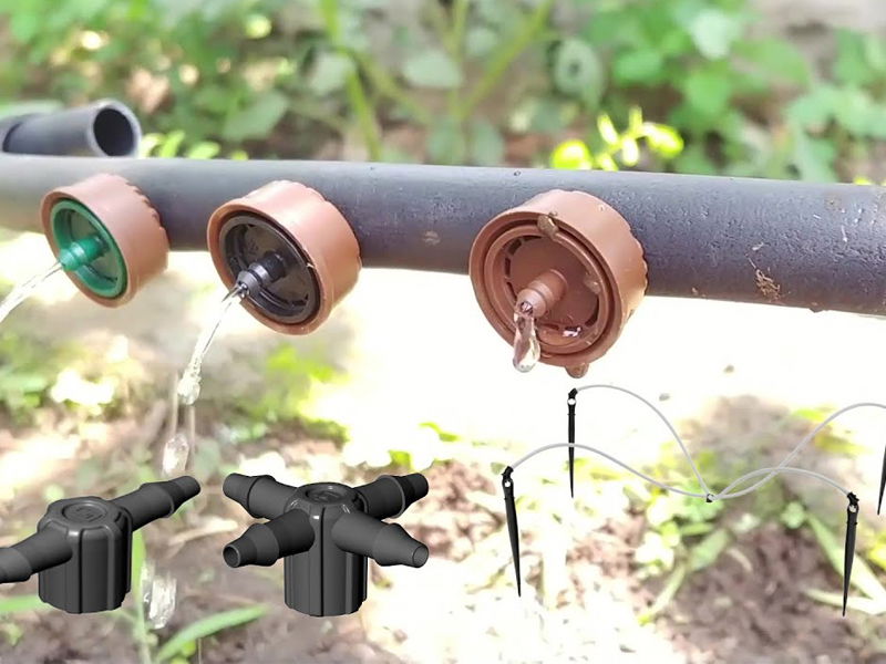 Hệ thống tưới nhỏ giọt cho vườn rau