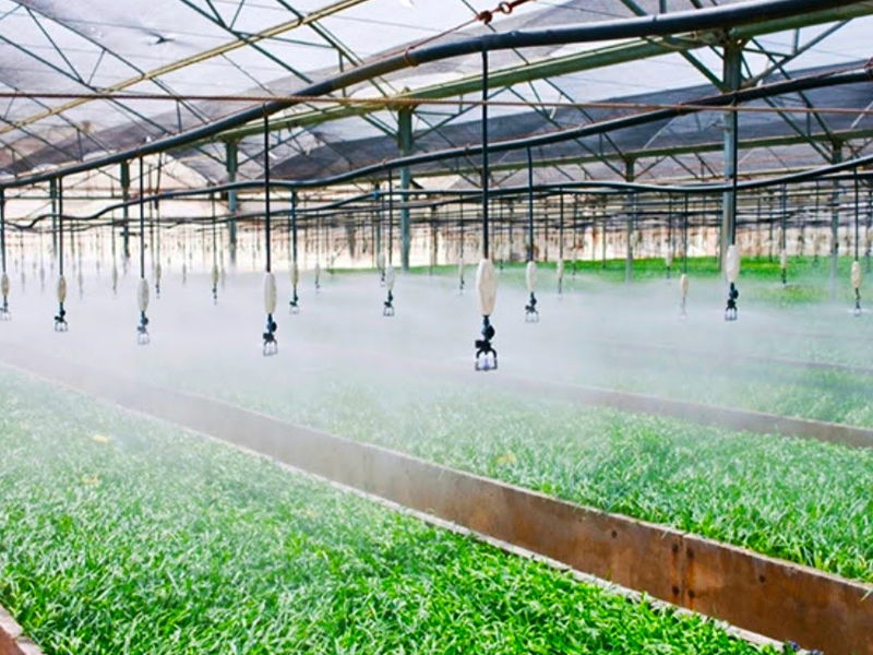 Hệ thống tưới rau tự động tại nhà