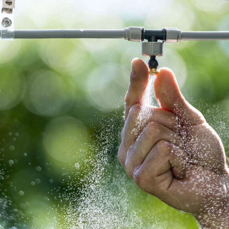 Các loại béc phun sương tưới lan